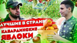 Самые Вкусные Яблоки - Кабардинские Яблоки!