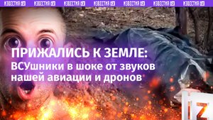 «*** ракетами!»: авиация и дроны кошмарят ВСУ на СВО – кадры от лица врага