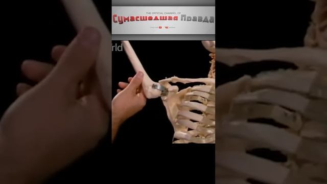 Пытки на руси. 1вид - дыба