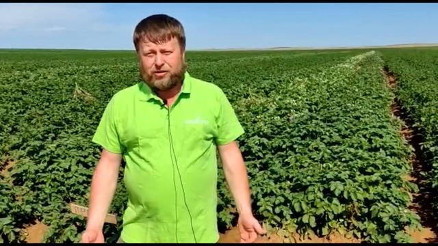 DokaGene. 4 июля 2023г. День поля в КФХ Чуланов смотреть онлайн