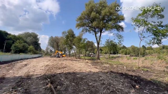 Расчищаем парковую ТЕРРИТОРИЮ В БЕЛГОРОДСКОЙ ОБЛАСТИ от А до Я.. 2023/ Мульчер Prime Tech PT-300