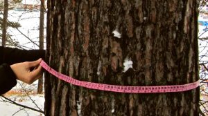 Вышний волочек _ Тверская область _ Вышневолоцкий район