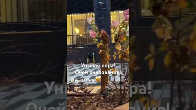 Осень... и этим все сказано