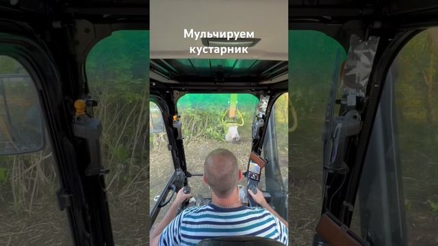 Расчищаем участкок от кустарниковой растительности #услугимульчера #мульчер #мульчерexpert