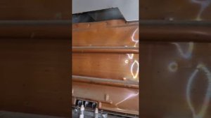 Газовая колонка Neva 4513
