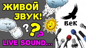 Живой звук на канале ВЕК? Где микрофоны?... Студийная запись?