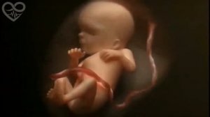 4-минутное анимационное видео 'Беременность: от зачатия до родов'