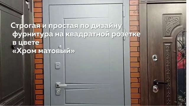 Обзор входной двери «Челсин»