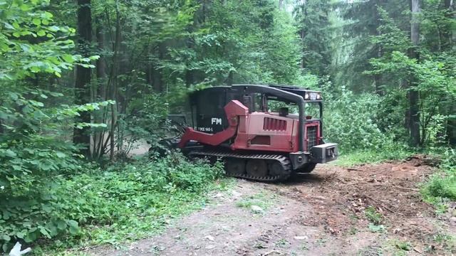 РАСЧИСТКА ЛЕСА ГУСЕНИЧНЫМ МУЛЬЧЕРОМ.