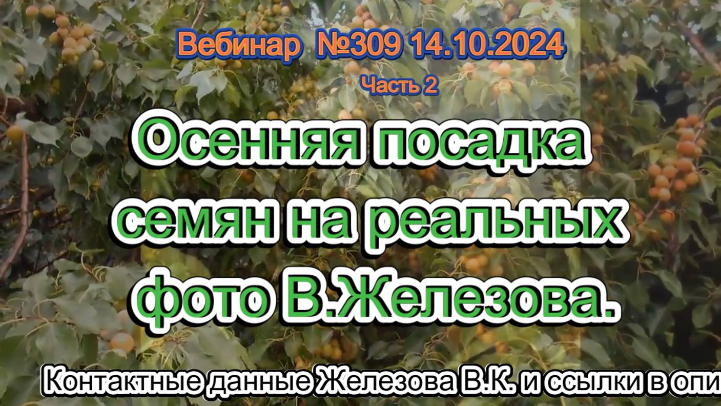 Железов Валерий. Вебинар 309. ч.2. Осенняя посадка семян на реальных фото В.Железова.