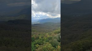 35 летие . Караловая свадьба.