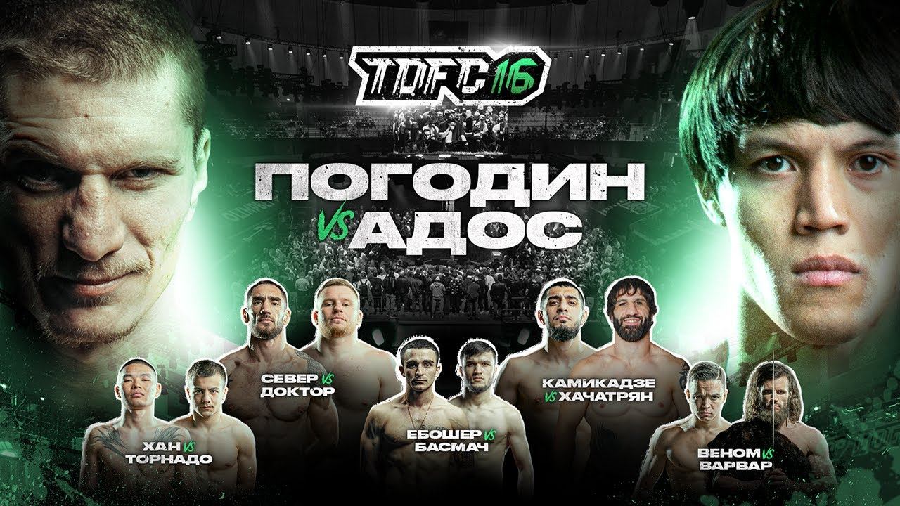 Погодин vs. Адос | TDFC 16 | RED Arena, Сочи