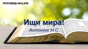 Ищи мира. Антонюк Н.С. Проповедь. МСЦ ЕХБ