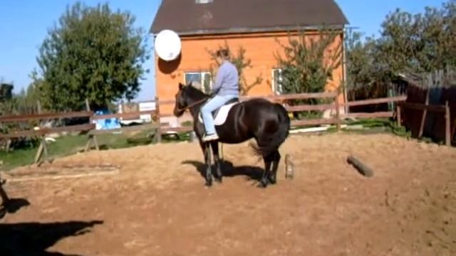 поворот на заду налево1.AVI смотреть онлайн