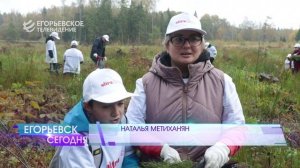 Живи, лес! В такой акции приняли участие сотрудники егорьевского предприятия «Ультрадекор»