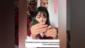 1000045256.mp4
