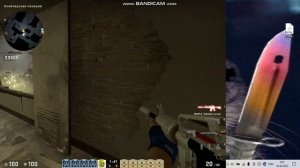 играю с ботами на приватку в ксго