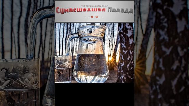 продукты ссср. Березовый сок.