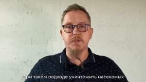 Мифы о клопах. Миф №11Клопы живут только в грязных квартирах