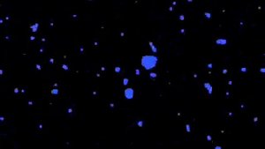 Klasky Csupo Effects (Movie Maker 2.1 Effects Part 4 Final)