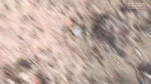 МОЙ РАБОЧИЙ ДЕНЬ. РАЗНЫЕ МУЛЬЧЕРЫ В ПРОЦЕССЕ РАБОТ. РАСЧИСТКА СЕЛЬХОЗ ЗЕМЕЛЬ И ВВОД В ЭКСПЛУАТАЦИЮ.