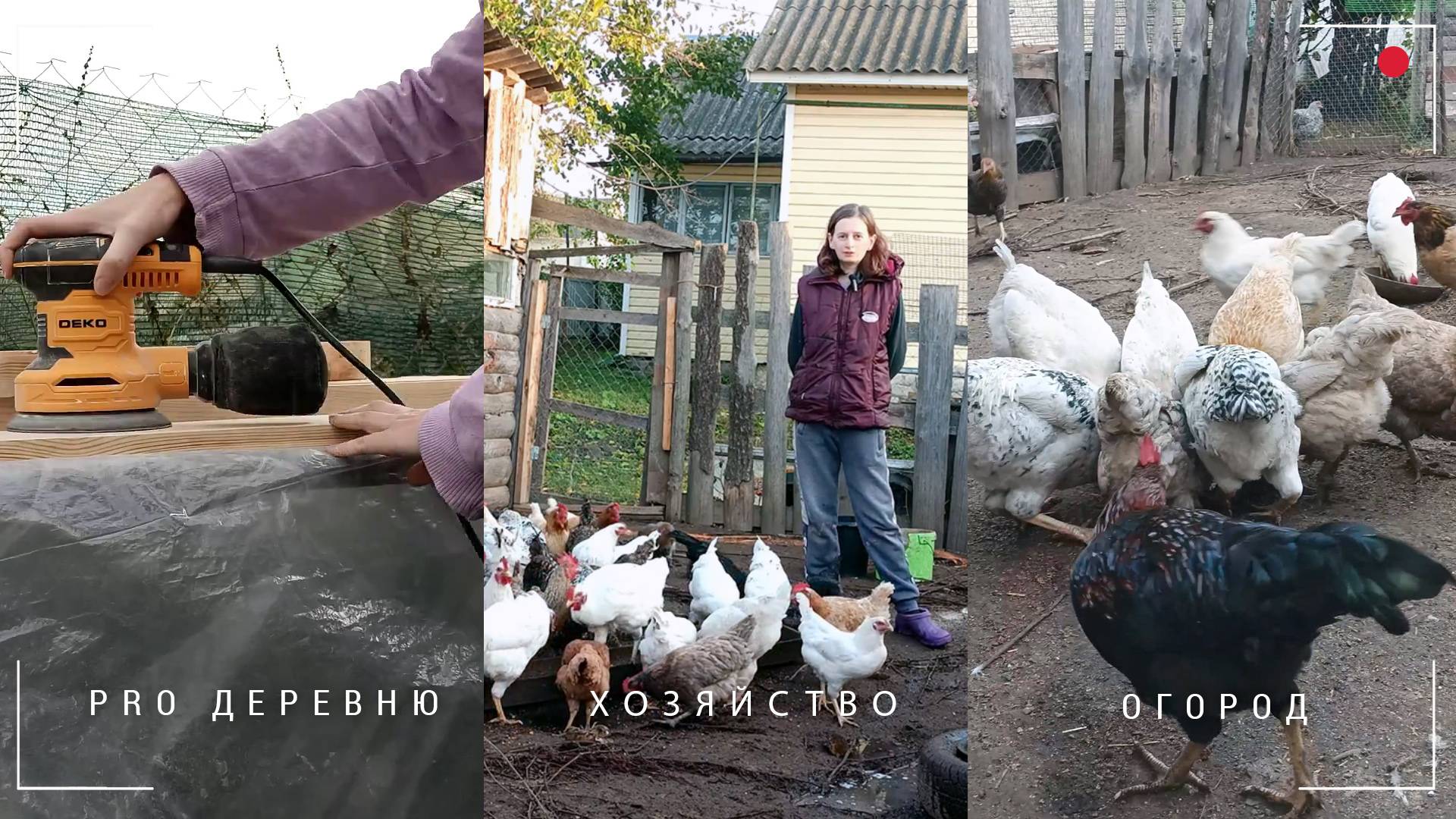 👩🌾 В деревне: самодельная кровать из дерева. Куры осенью.