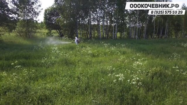 Спецтехника для РАСЧИСТКИ ЗЕМЕЛЬ ОТ ДКР. УСЛУГИ МУЛЬЧЕРА, БУЛЬДОЗЕРА, ЭКСКАВАТОРА. ОООКОЧЕВНИК