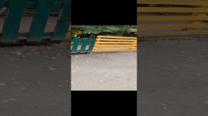 Зеленогорск , мини зоопарк