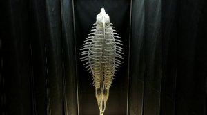 Дыхание. Кинетическая скульптура. Автор Владимир Андреев