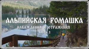 Альпийская ромашка 5. 2018 г. Наваждения и отражения. ч 2