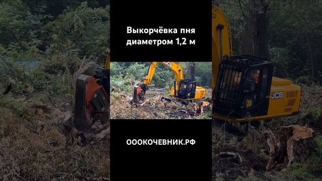 Выкорчёвка пня диаметром 1,2 метра .