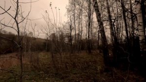 Фотий по вальдшнепу. Нарезка моментов