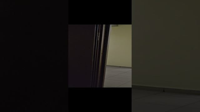1000033423.mp4