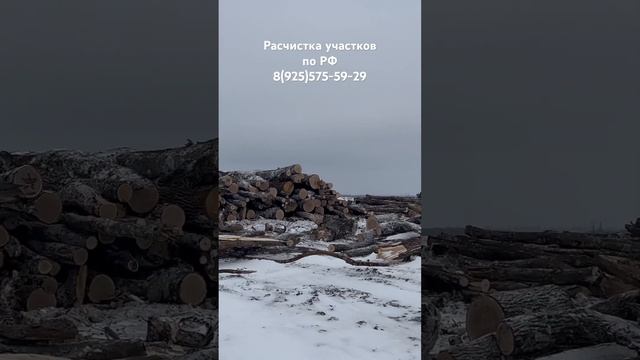 Расчистка земельных участков от дкр по РФ. 8(925)575-59-29 #корчевание  #расчисткаподстроительство