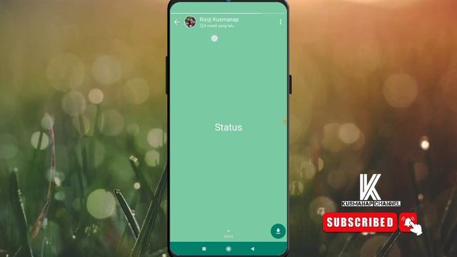 Cara setting status story whatsapp anti hapus || cara terbaru || wa gb смотреть онлайн