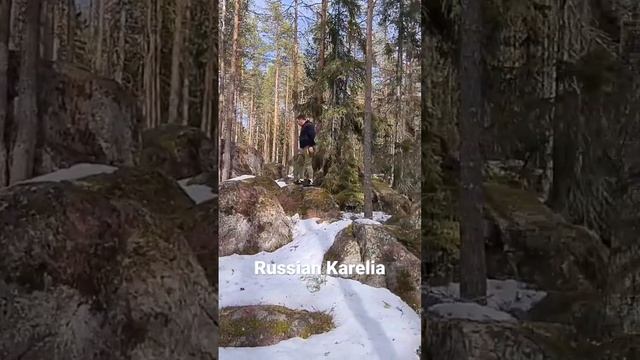 Russian Karelia #мульчерexpert #антонхатунцев #расчисткаподстроительство #мульчер #корчевание