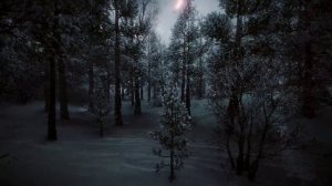 Безумный зимний шторм в ночном лесу послужит колыбельной для Вас