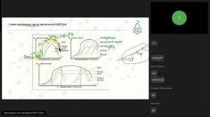 Управление проектами (Аверина) (14.10.2024)