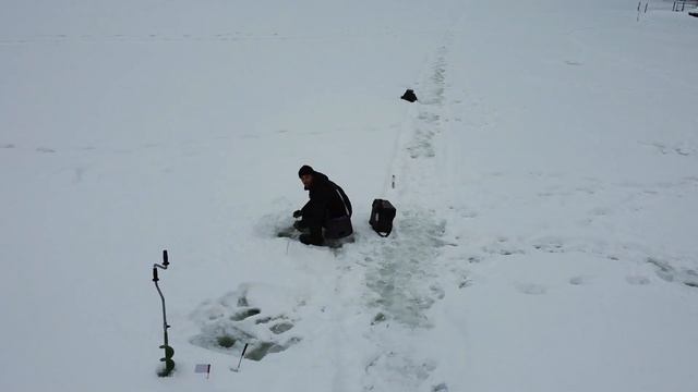 Чемпионат и первенство г. Иваново по ловле рыбы на мормышку со льда. 23.01.2022. парк Харинка. смотреть онлайн