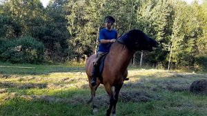 Слёт ткачей 2022