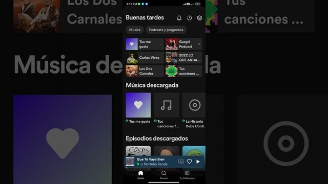 SPOTIFY NO ME REPRODUCE LAS CANCIONES DESCARGADAS y tengo Premium l Solución 😉 смотреть онлайн
