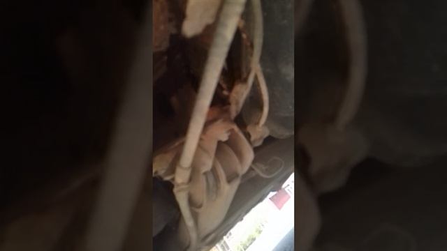 Можно ездить так? Подскажите!