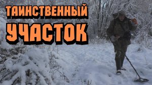 Обнаружил в лесу участок с древними артефактами. В поисках спрятанных сокровищ