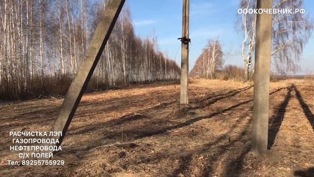 ЛЭП ПОСЛЕ МУЛЬЧИРОВАНИЯ ТРАКТОРОМ ВАЛТРА Т234. РАСЧИСТКА ПОЛЕЙ,ЛЭП,ГАЗОПРОВОДА, НЕФТЕПРОВОДА,ОБОЧИН.