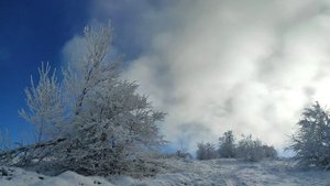 Чатыр-Даг - Ангар-Бурун. Декабрь 19.12.2021