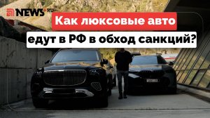 Санкции — не проблема. Как в России оказываются дорогие автомобили, несмотря на запреты?