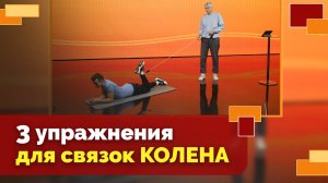 Упражнения для укрепления связок  коленного сустава | Движение - жизнь!