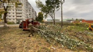 ДРОБИТ 60см деревья. ИЗМЕЛЬЧИТЕЛЬ ВЕТОК И СТАОЛОВ ДЕРЕВЬЕВ/ АРЕНДА ДРОБИЛКИ ИЗМЕЛЬЧИТЕЛЯ ДЕРЕВЬЕВ