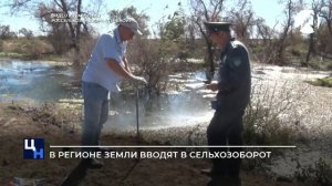 В регионе земли вводят в сельхозоборот