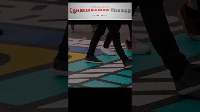 Почему зебра черно-белая? #зебра#пешеходный переход#почему#интересно#цвета#